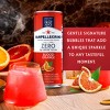 Sanpellegrino Zero Blood Orange Italian Sparkling Beverage - 6pk/11.15 fl oz Cans - 4 of 4