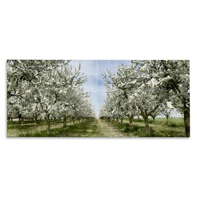 Stupell Industries Blooming White Tree Orchard, 24" x 10"