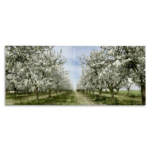Stupell Industries Blooming White Tree Orchard, 24" x 10" - 1 of 4