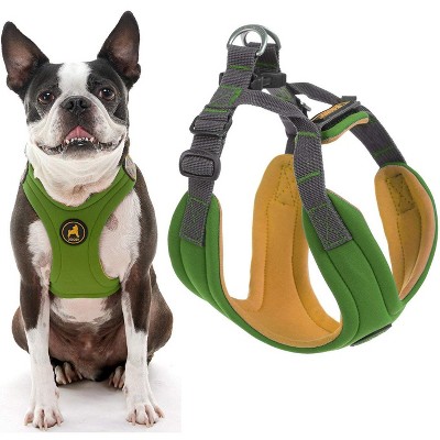 Gooby Convertible Harness, Small Dog Step in Neoprene Harness with Easy Neck Fastener, Green, Small