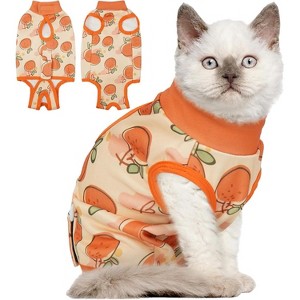 Cat Surgery Recovery Suits, Adjustable Cat Onesies for After Surgery, Female Cat Spay Suit, Male Cat Soft Onesie After Neuter Surgery, Kitten Clothes - 1 of 4