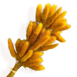 Alilang Dried Bunny Tail Grass Stems for Modern Home Decoration and Floral Arrangements, 23.5 Inches - 1 of 3