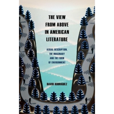 The View from Above in American Literature - by David Rodriguez