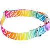 Country Brook Petz Premium Dog Collar - Animal Prints Collection - 4 of 4