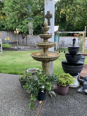 Guest review image 1 of 1, zoom in