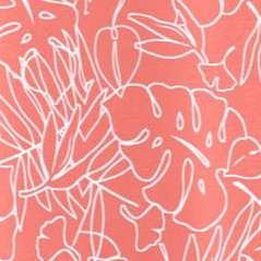 sweet coral palm