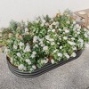 Raised Garden Bed Outdoor, Oval Large Metal Raised Planter Bed for for Plants, Vegetables, and Flowers - 2 of 4