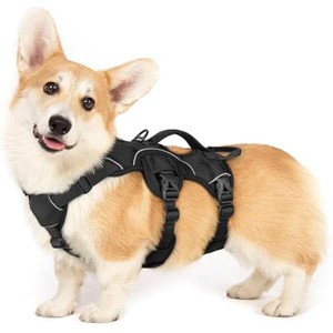 rabbitgoo Escape Proof Dog Harness, Soft Padded Full Body Pet Harness, Reflective Adjustabl Training, S, Black - 1 of 1