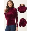 Allegra K Women's Puff Long Sleeve Turtleneck Elegant Velvet Velour Blouses - 2 of 4