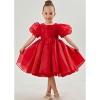 2Bunnies Girls' Organza Puff Sleeve Babydoll Fit & Flare Dress - 2 of 4