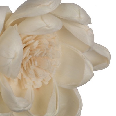 Natural Dried Sola Flower Heads Assorted Sizes