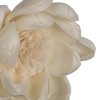 Vickerman 1-3" Natural Botanicals Assorted Natural Dried Sola Flower Head - 2 of 3