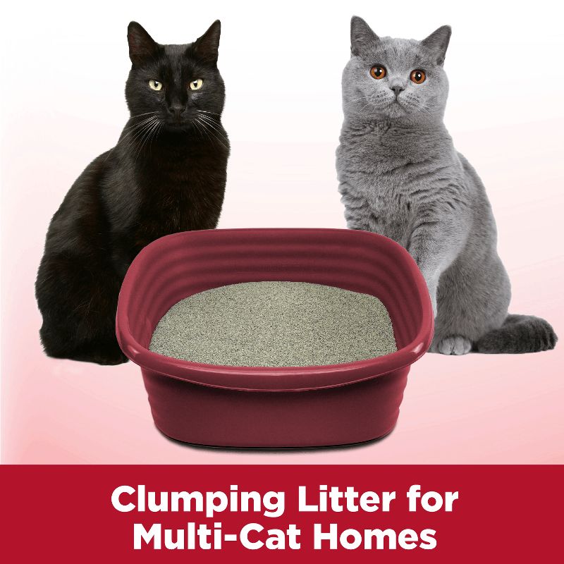 Arm & Hammer Clump & Seal Multi-Cat Litter , 6 of 13