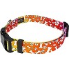 Country Brook Petz Deluxe Dog Collar - Groovy Collection - 3 of 4