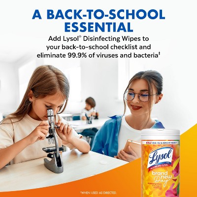 Lysol All-Purpose Cleaner & Disinfectant Wipes - 80ct/4pk