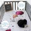 JumpOff Jo - 100% Cotton Fitted Crib Sheet, Super Soft, for Standard Crib Mattresses and Toddler Beds - 3 of 4