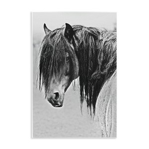 Stupell Industries Black White Monochrome Serene Fjord Horse Portrait Wall Plaque Art - 1 of 4