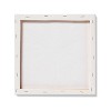 11''x11" Paint-Your-Own Canvas Craft Kit Butterfly - Mondo Llama™: DIY Art Kit with Paint, Tray, Brushes, Canvas Boards - 3 of 4