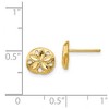 Black Bow Jewelry 8mm Polished and Diamond Cut Sand Dollar Post Earrings in 14k Gold - 4 of 4