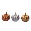 Transpac Resin 6.5 in. Multicolor Harvest Metallic Pumpkins In Crate Set of 12 - 3 of 4