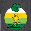 Boys' - Peanuts - Woodstock Shamrock Short Sleeve Graphic T-Shirt - 2 of 4