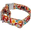 Country Brook Petz 1 1/2 Inch Martingale with Premium Buckle - Awesome Autumn Collection - 2 of 4