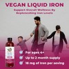 MaryRuth's Vegan Liquid Iron Supplement - Berry - 15.2 fl oz - 4 of 4