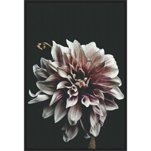 23" x 33" Dazed Dahlia by Beatrice Kiss Framed Canvas Wall Art Print - Amanti Art: Modern Lithograph, Polystyrene Frame - 1 of 4