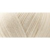 Lion Brand Pound Of Love Yarn - 3 of 3