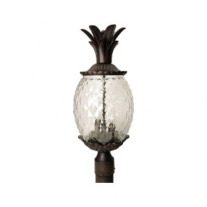Acclaim Lighting Lanai 3 - Light Post Light in  Black Coral - 1 of 1