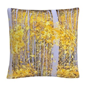 Decorative Throw Pillow_5 by Trademark Fine Art - 1 of 4