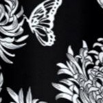 black chrysanthemum print