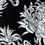black chrysanthemum print