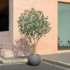 DR.Planzen 7ft UV Resistant Fake Eucalyptus Tree with Grey Tall Planter, Artificial Eucalyptus Tree for Indoor Outdoor Home Decor, Big Faux Plant - 2 of 4