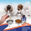 Beloved Pets Probiotics & Prebiotics with Enzymes Supplement for Dogs and Cats, Digestive Gut Flora Health Supports 2 Oz  - 1 Pack - 4 of 4
