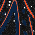 auburn tigers