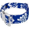 Country Brook Petz 1 1/2 Inch Premium Dog Collar - Summer Breeze Collection - 4 of 4
