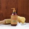 SheaMoisture Manuka Honey & Mafura Oil Intensive Hydration Hair Conditioner - 13 fl oz - image 4 of 4