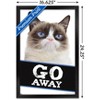 Trends International Grumpy Cat - Go Away Framed Wall Poster Prints - 3 of 4