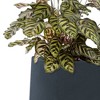 Rosemead Home & Garden 3pc Concrete Outdoor Planter Pot Black - 4 of 4
