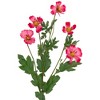 Northlight Cosmos Artificial Floral Sprays - 31" - Hot Pink - Set of 6 - 3 of 4