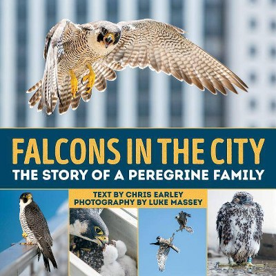 Falcons in the City - by  Chris Earley (Hardcover)