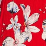 vivid red bloom flower