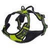 Voyager Dual-Attachment No-Pull Control Adjustable Harness for Dogs by Best Pet Supplies - 3 of 4