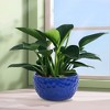 Angel Sar 3 Pack Glossy Blue Ceramic Pots for Plants with Beautiful Texture, Modern Flower Pots for Indoor Plants Filled with Drainage Holes - 2 of 4