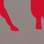 buffalo bills