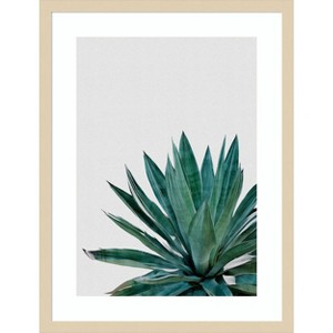 Amanti Art Agave Cactus by Orara Studio Wood Framed Wall Art Print - 1 of 4