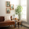 Sullivans Plant Shadow Box Wall Art Set of 3 16"H; Multicolor - 3 of 3