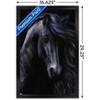 Trends International Laurie Prindle - The Black Framed Wall Poster Prints - 3 of 4