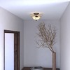 Vaxcel Vine 2 - Light Semi-Flush Mount in  Oil Shale - 2 of 4